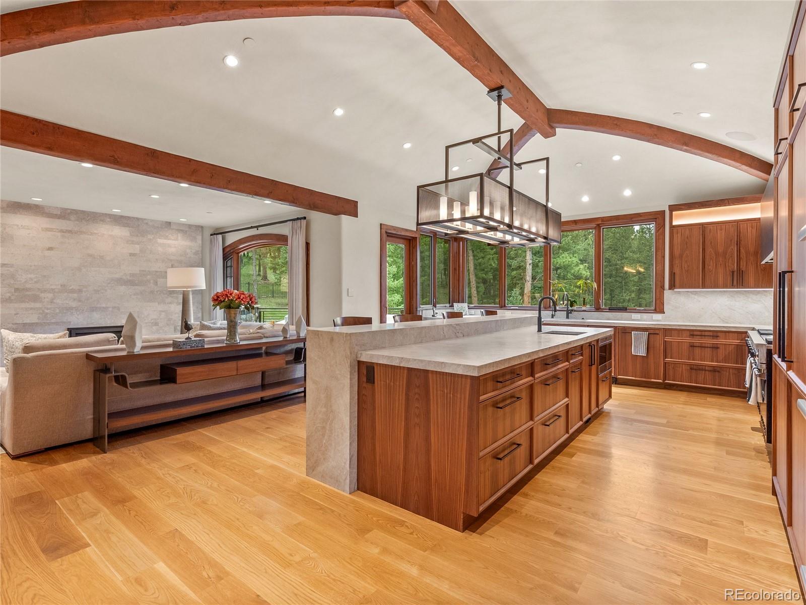 MLS Image #20 for 113  elk crossing lane,evergreen, Colorado