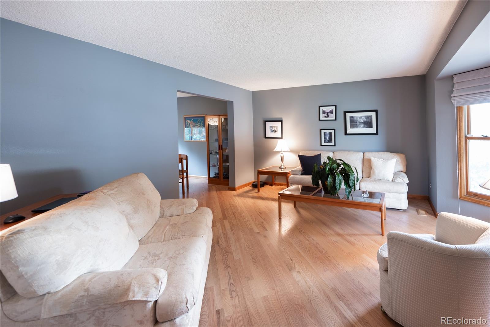 MLS Image #2 for 17530 e caspian place,aurora, Colorado