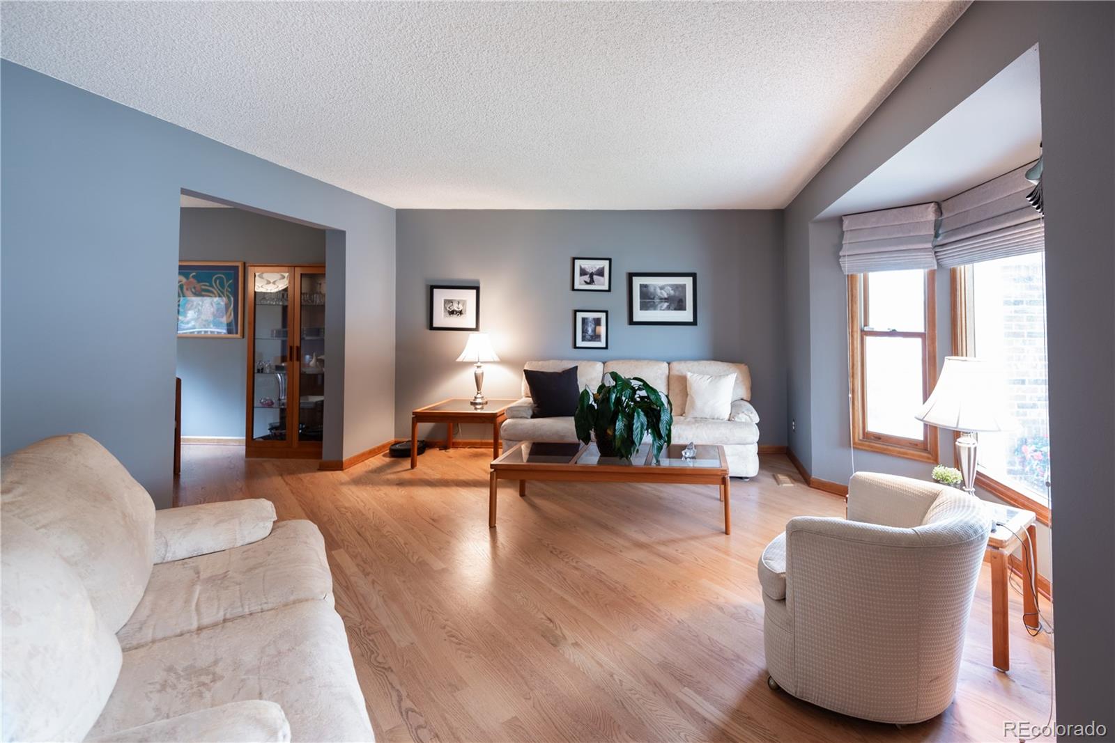 MLS Image #3 for 17530 e caspian place,aurora, Colorado
