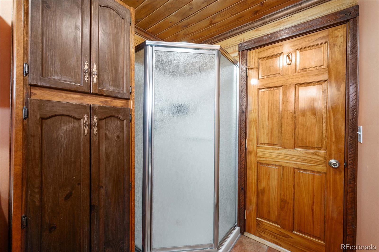 MLS Image #20 for 92  carpenter trail,cotopaxi, Colorado