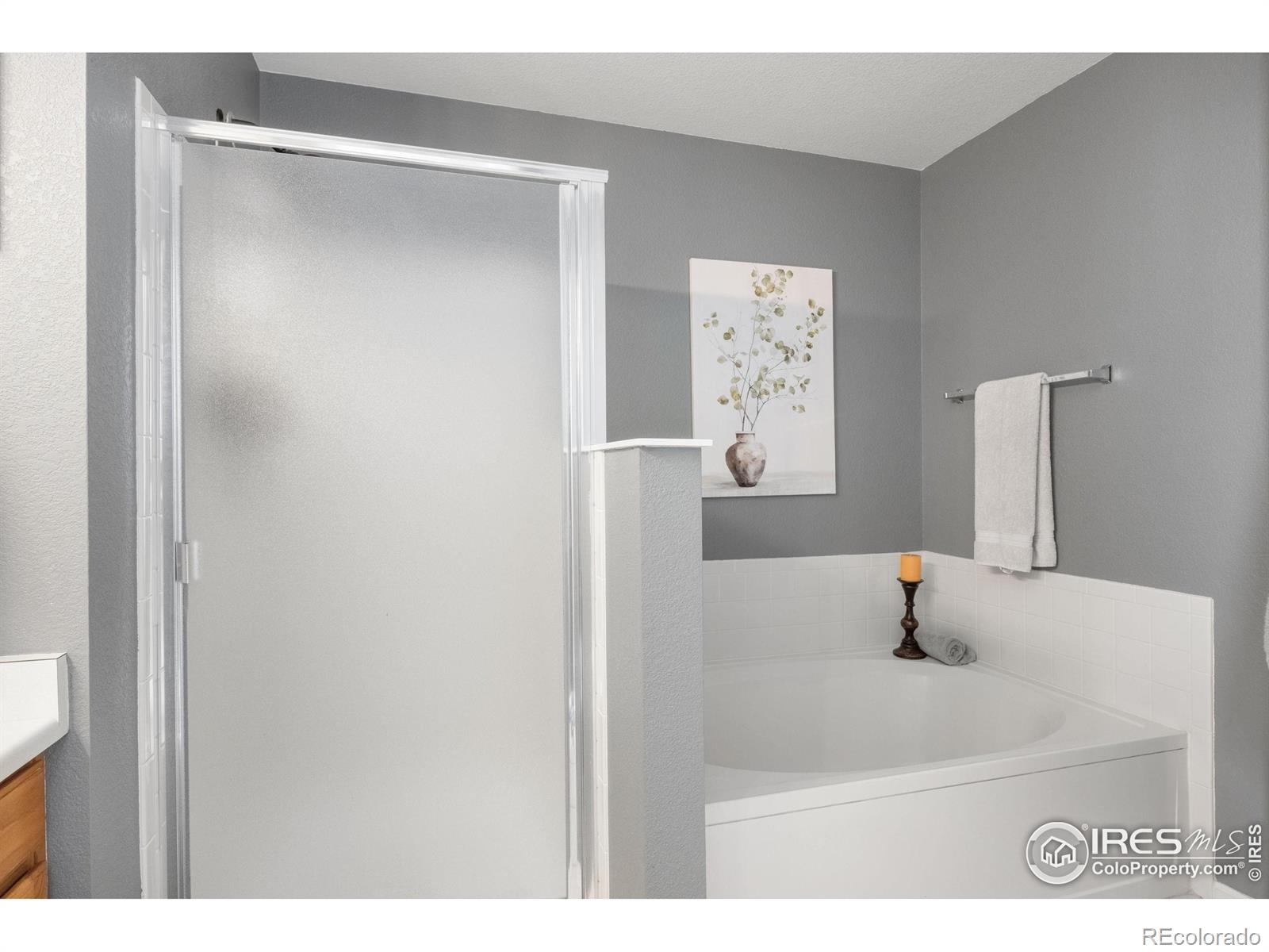 MLS Image #20 for 3454  leopard place,loveland, Colorado