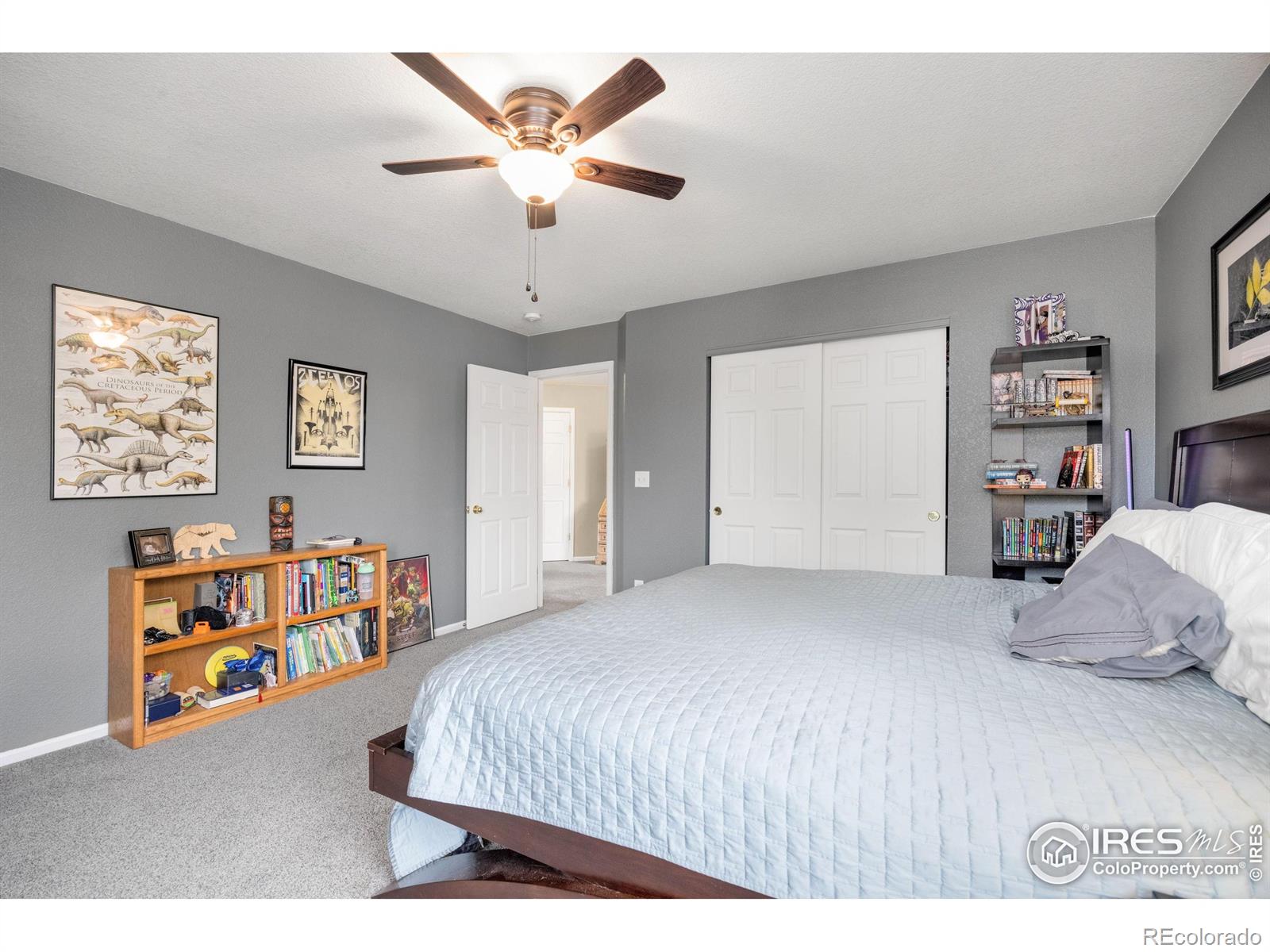 MLS Image #24 for 3454  leopard place,loveland, Colorado