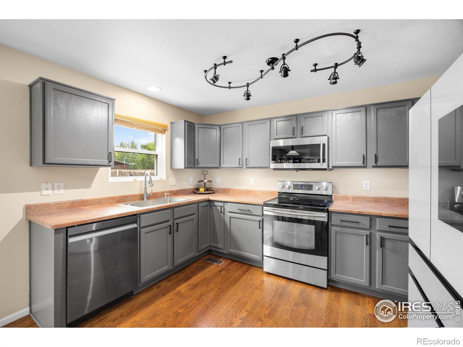 MLS Image #4 for 3454  leopard place,loveland, Colorado