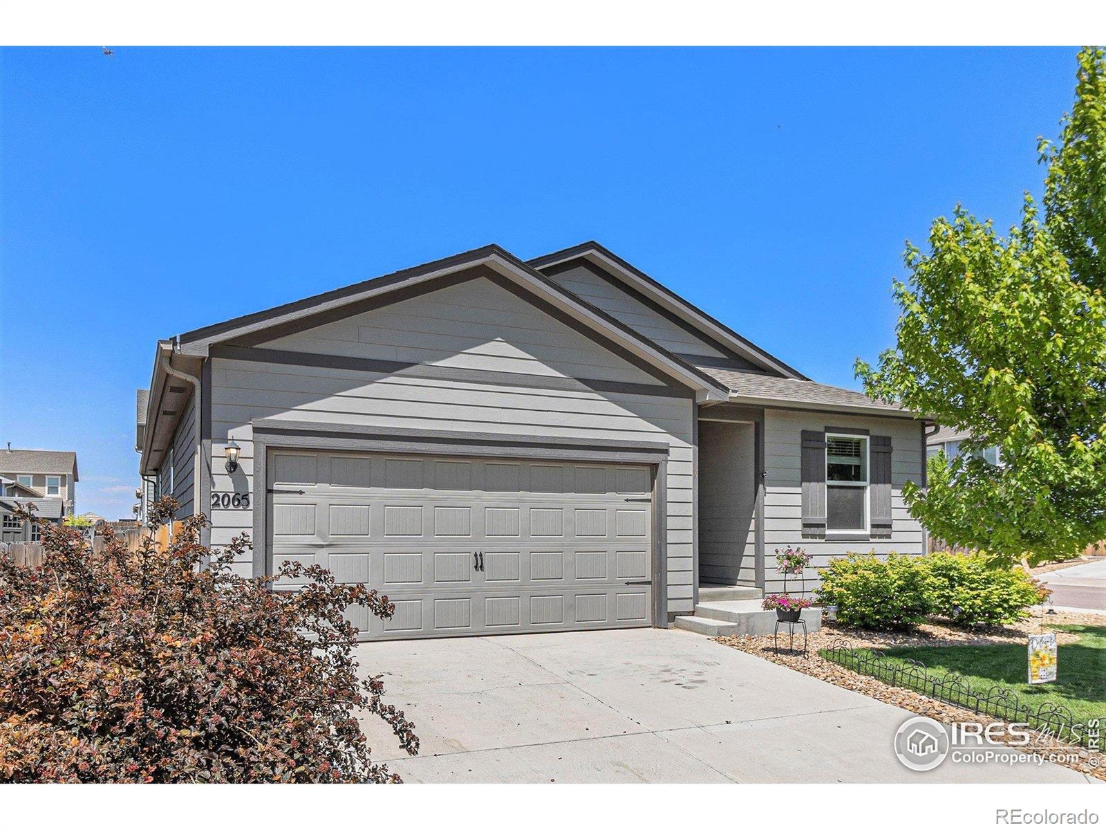 MLS Image #2 for 2065  wildwood street,lochbuie, Colorado