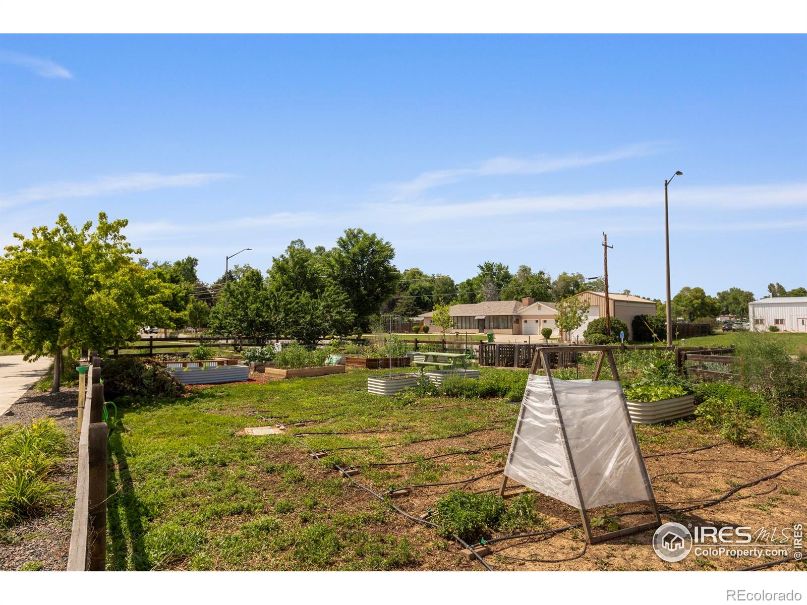 MLS Image #34 for 225  green leaf street,fort collins, Colorado