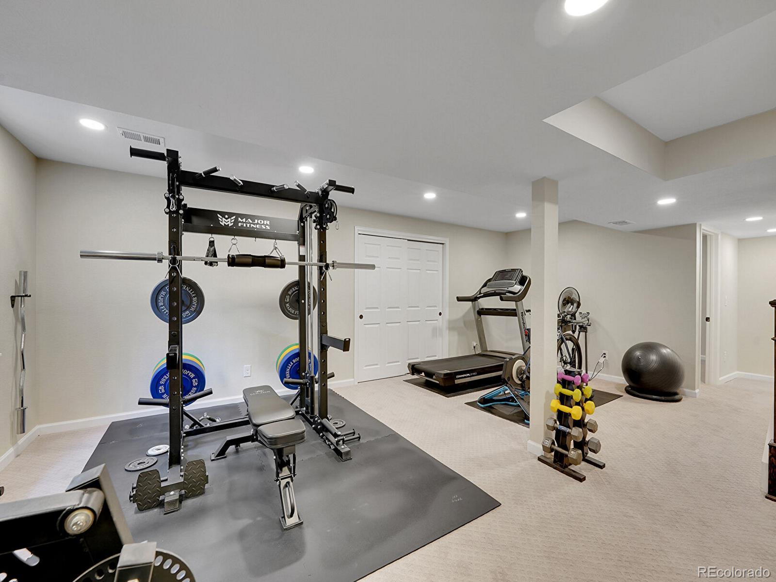 MLS Image #23 for 1052  northampton court,highlands ranch, Colorado
