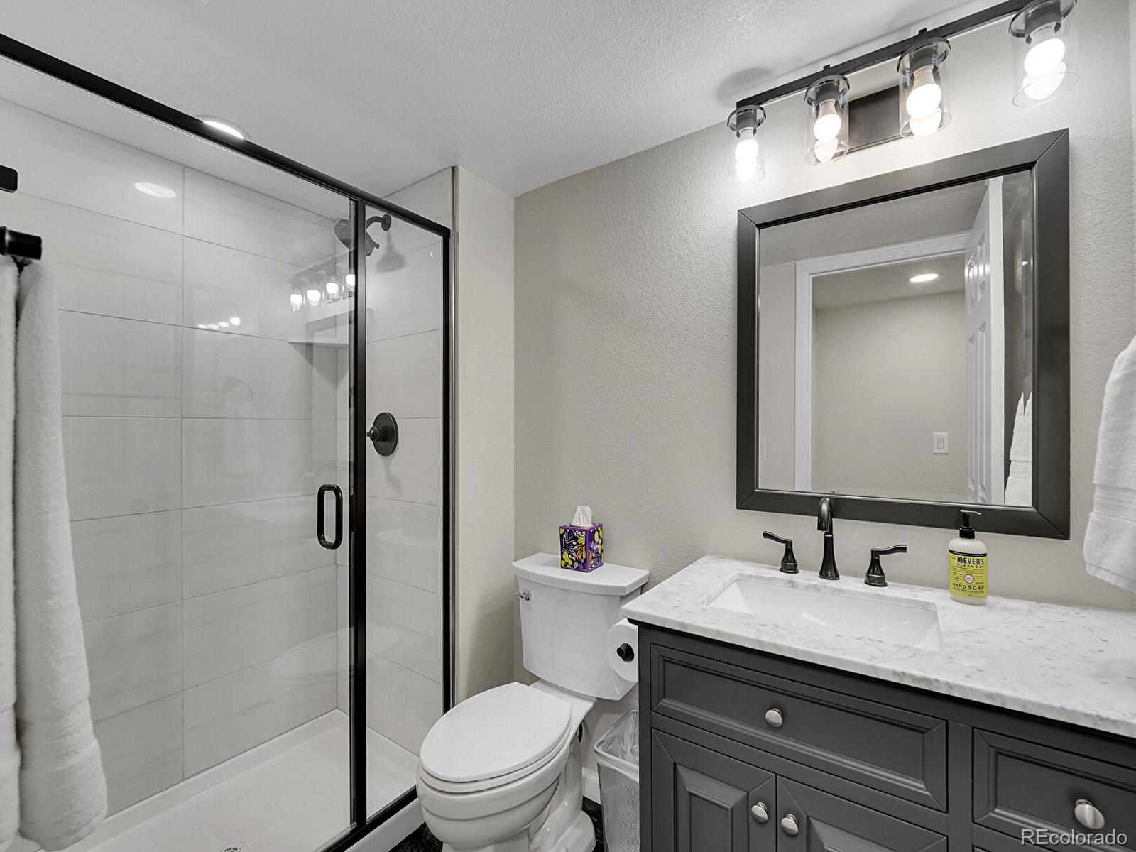 MLS Image #25 for 1052  northampton court,highlands ranch, Colorado
