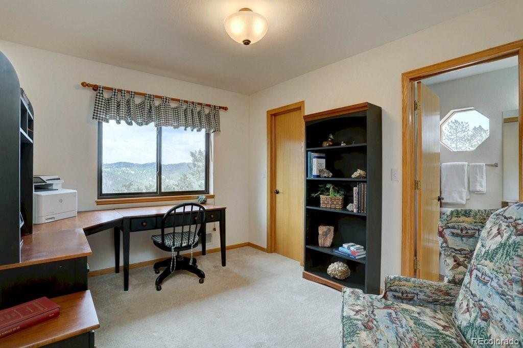 MLS Image #20 for 220  long ridge drive,bailey, Colorado