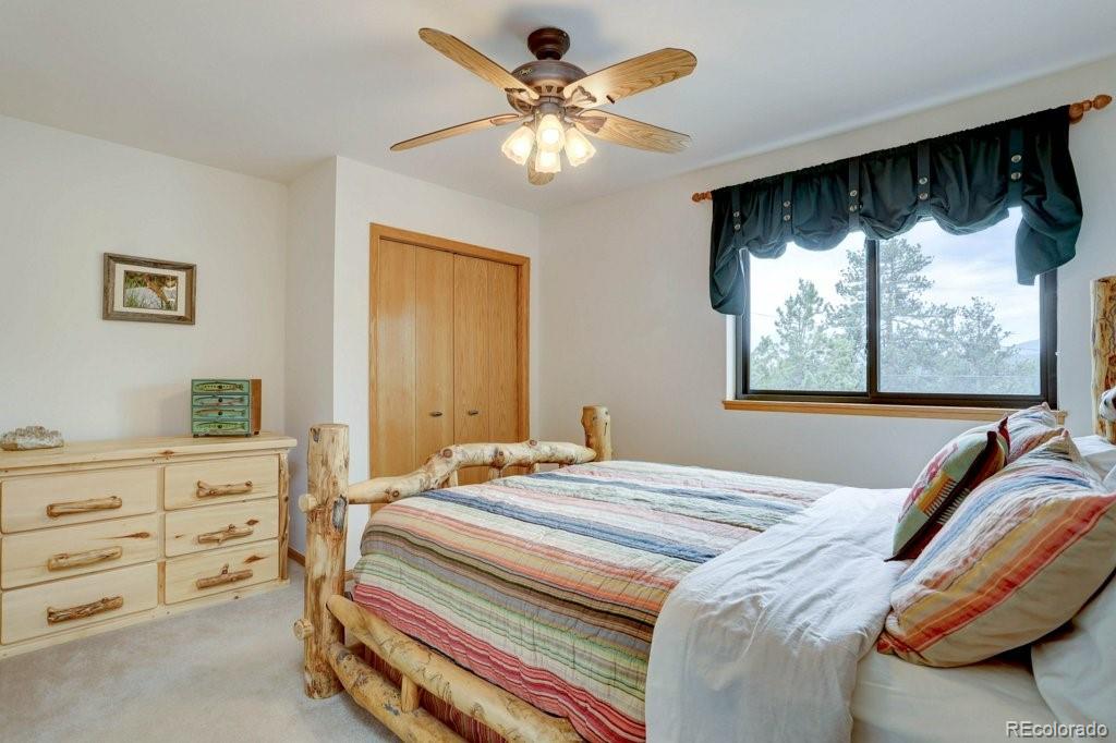 MLS Image #23 for 220  long ridge drive,bailey, Colorado