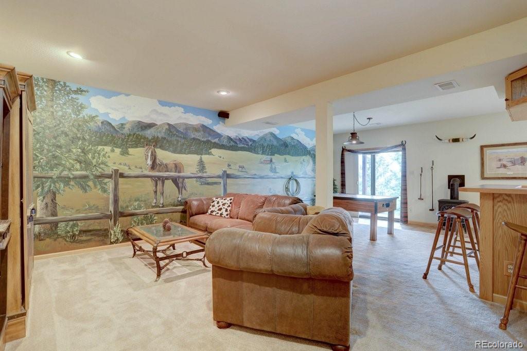 MLS Image #25 for 220  long ridge drive,bailey, Colorado