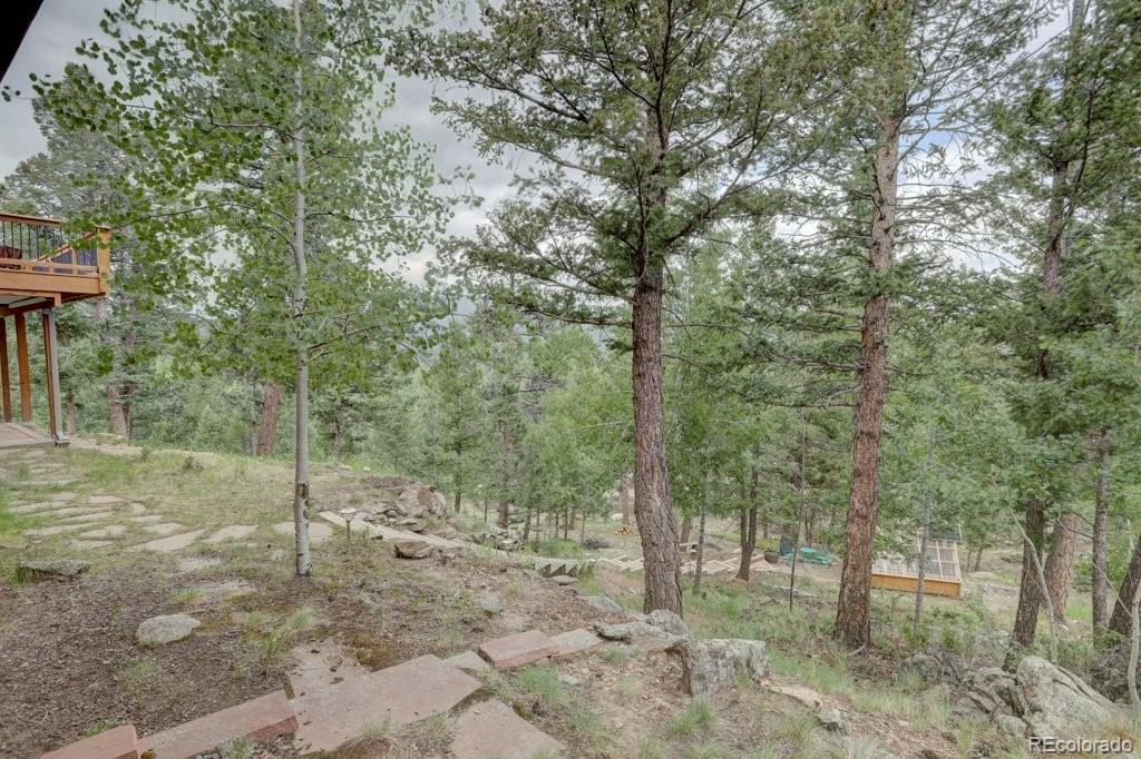 MLS Image #3 for 220  long ridge drive,bailey, Colorado