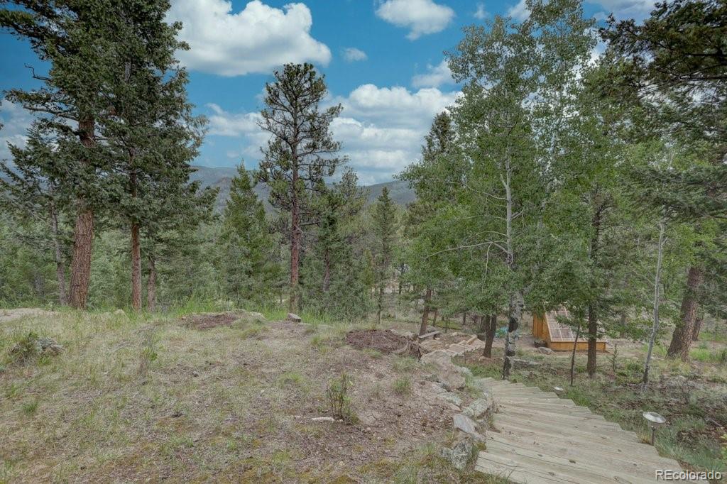 MLS Image #4 for 220  long ridge drive,bailey, Colorado