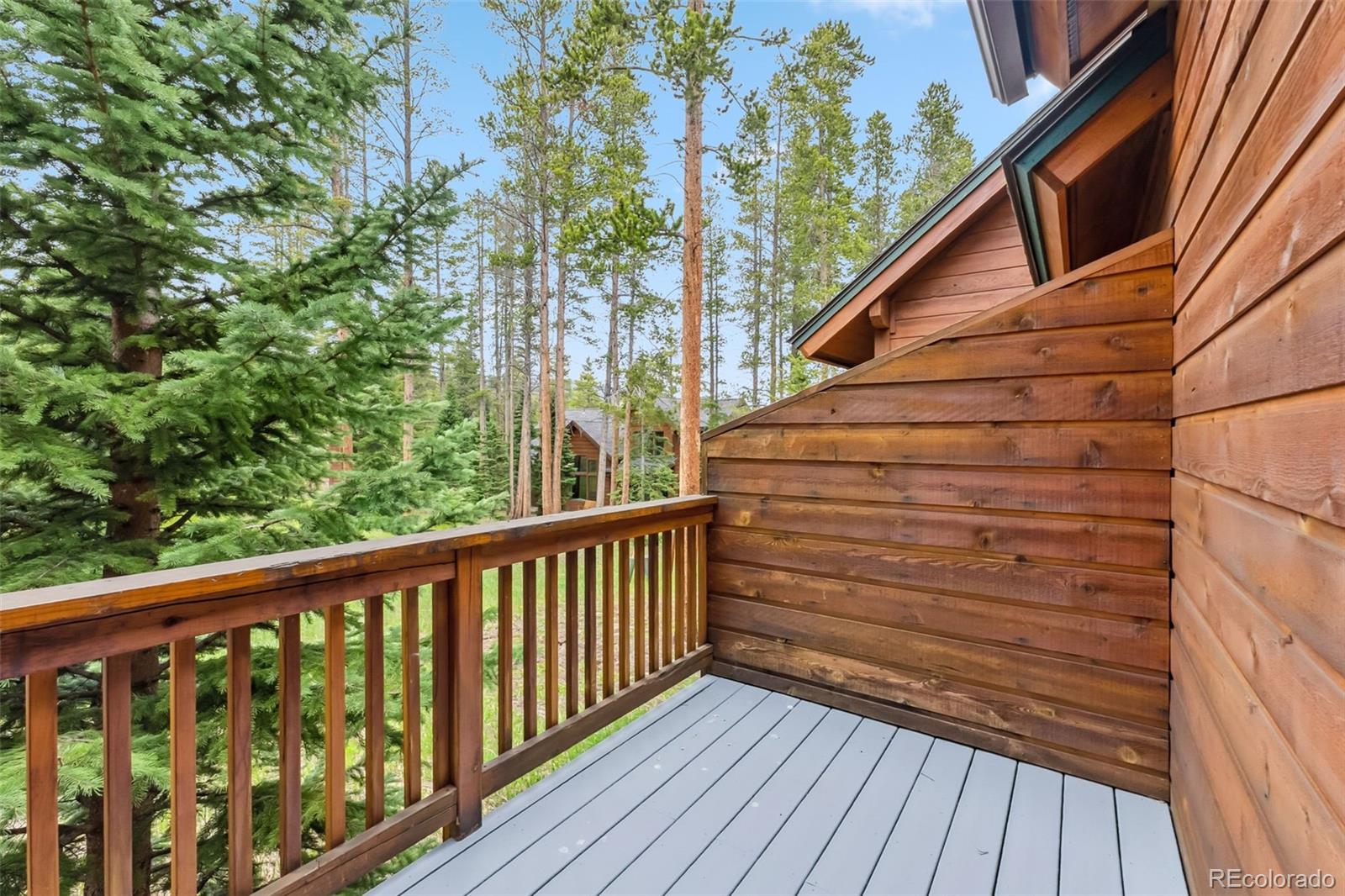 MLS Image #21 for 1152  ski hill road,breckenridge, Colorado