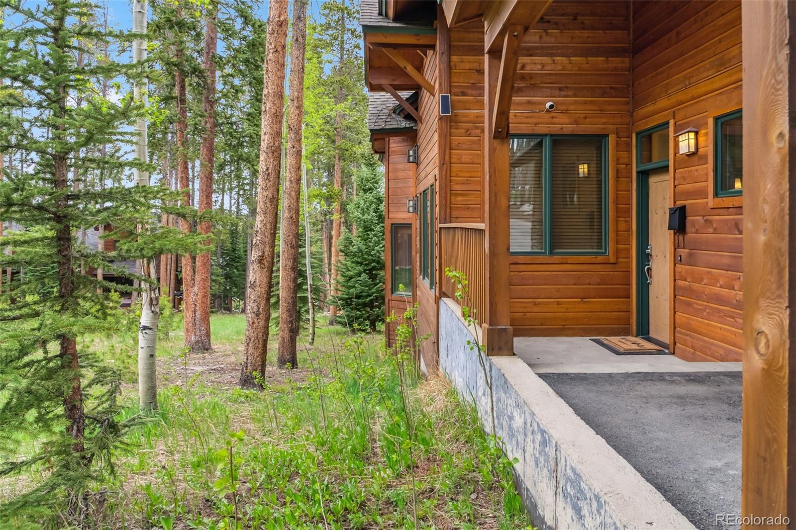 MLS Image #32 for 1152  ski hill road,breckenridge, Colorado