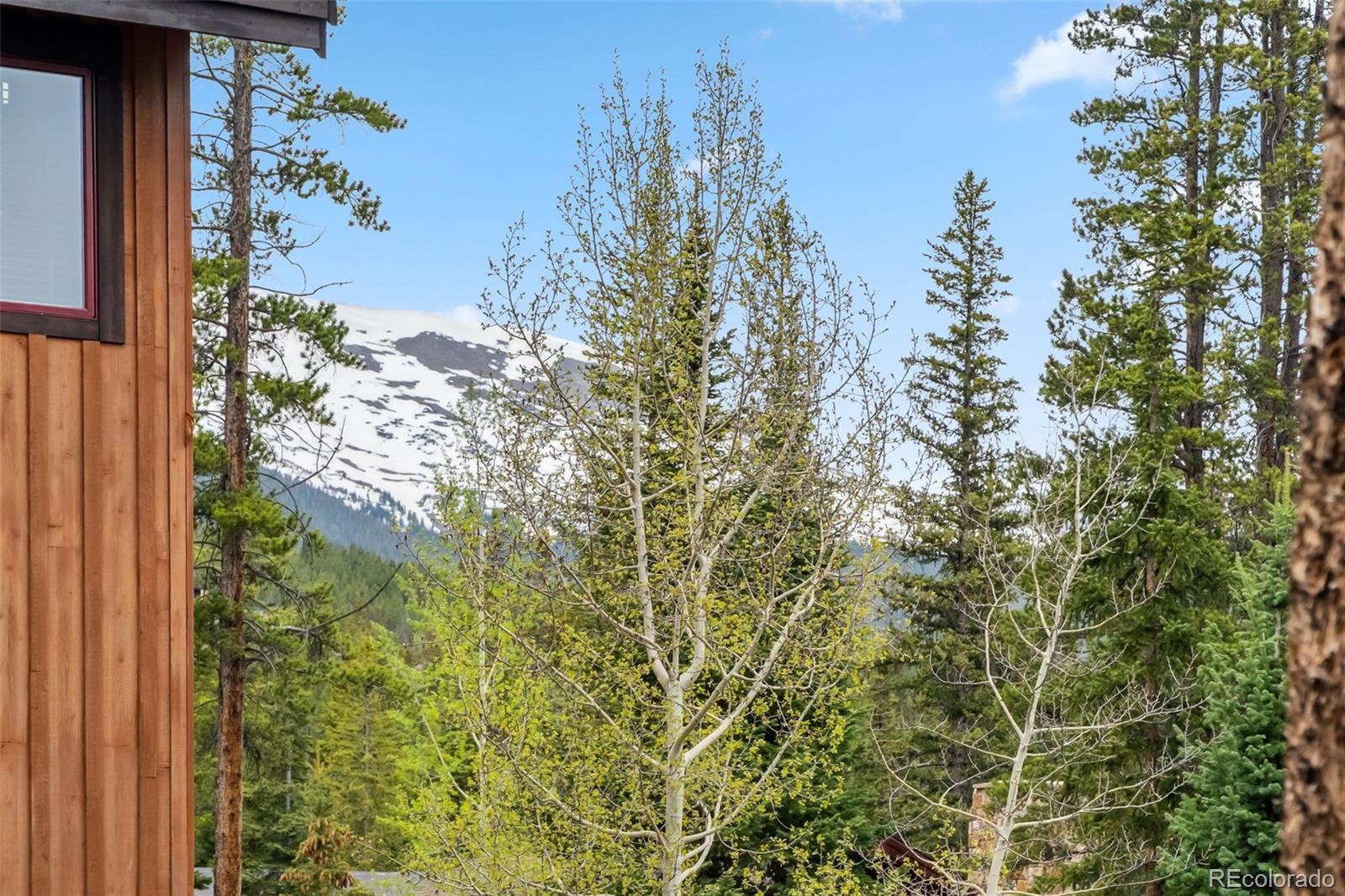 MLS Image #37 for 1152  ski hill road,breckenridge, Colorado