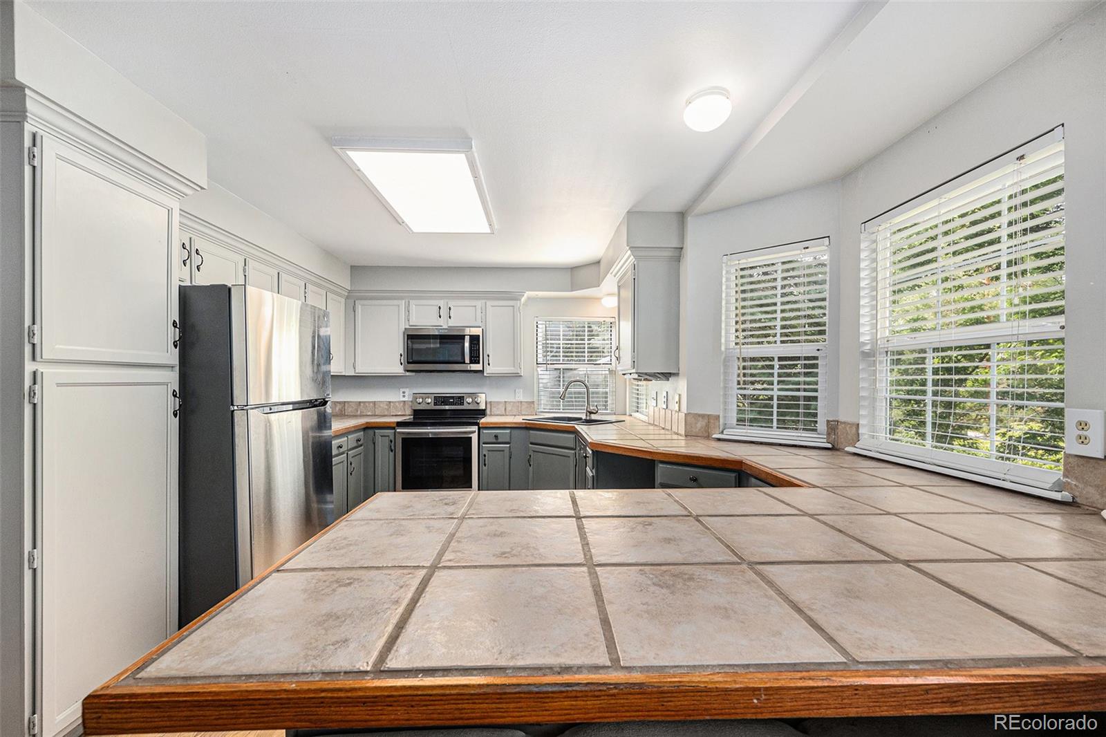 MLS Image #22 for 11022  trailrider pass,littleton, Colorado
