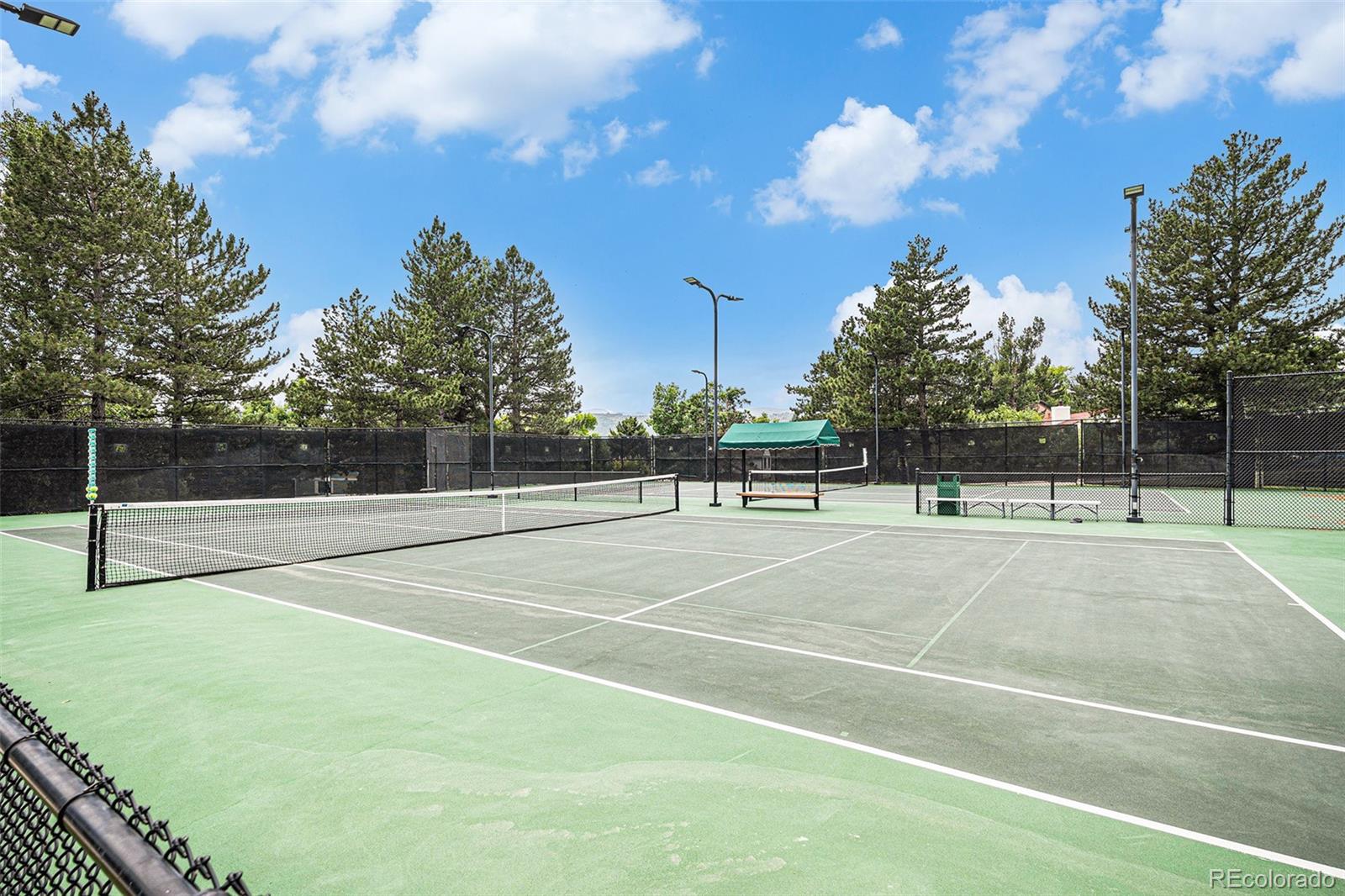 MLS Image #45 for 11022  trailrider pass,littleton, Colorado