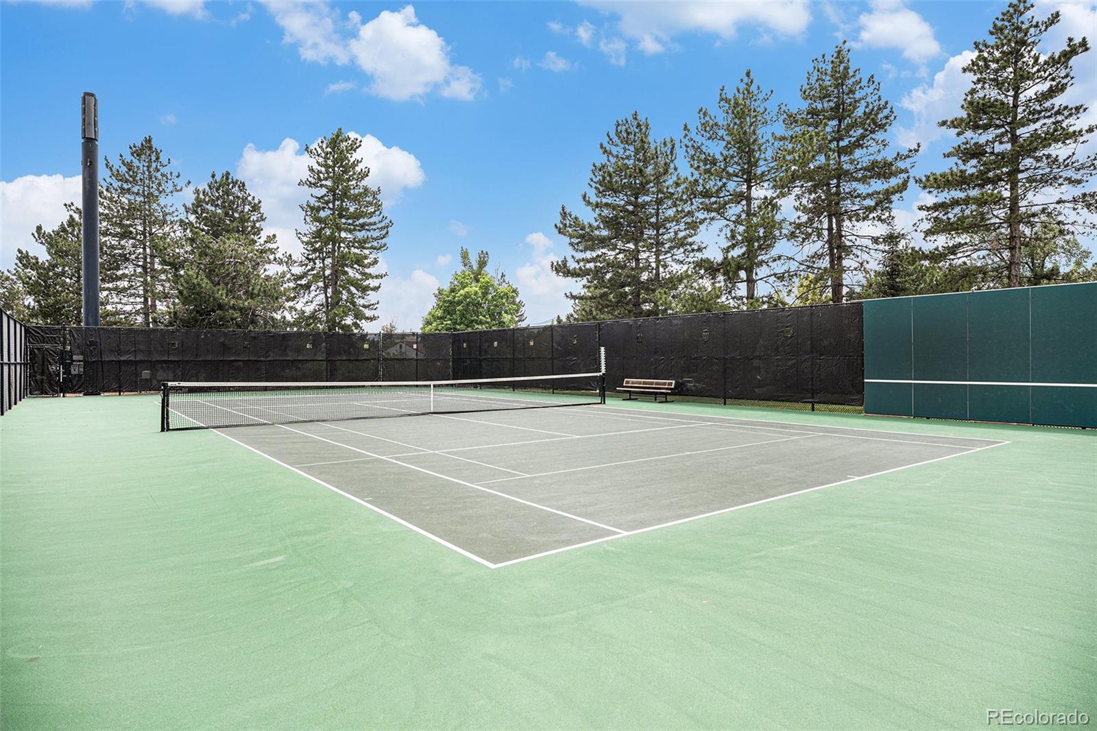 MLS Image #46 for 11022  trailrider pass,littleton, Colorado