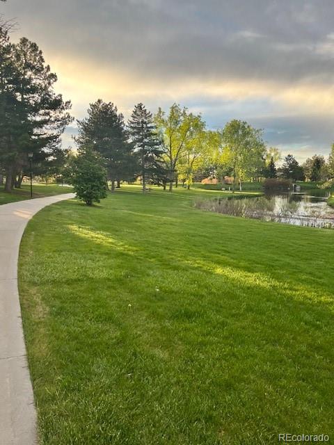 MLS Image #47 for 11022  trailrider pass,littleton, Colorado