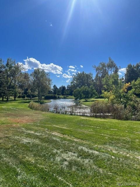 MLS Image #49 for 11022  trailrider pass,littleton, Colorado