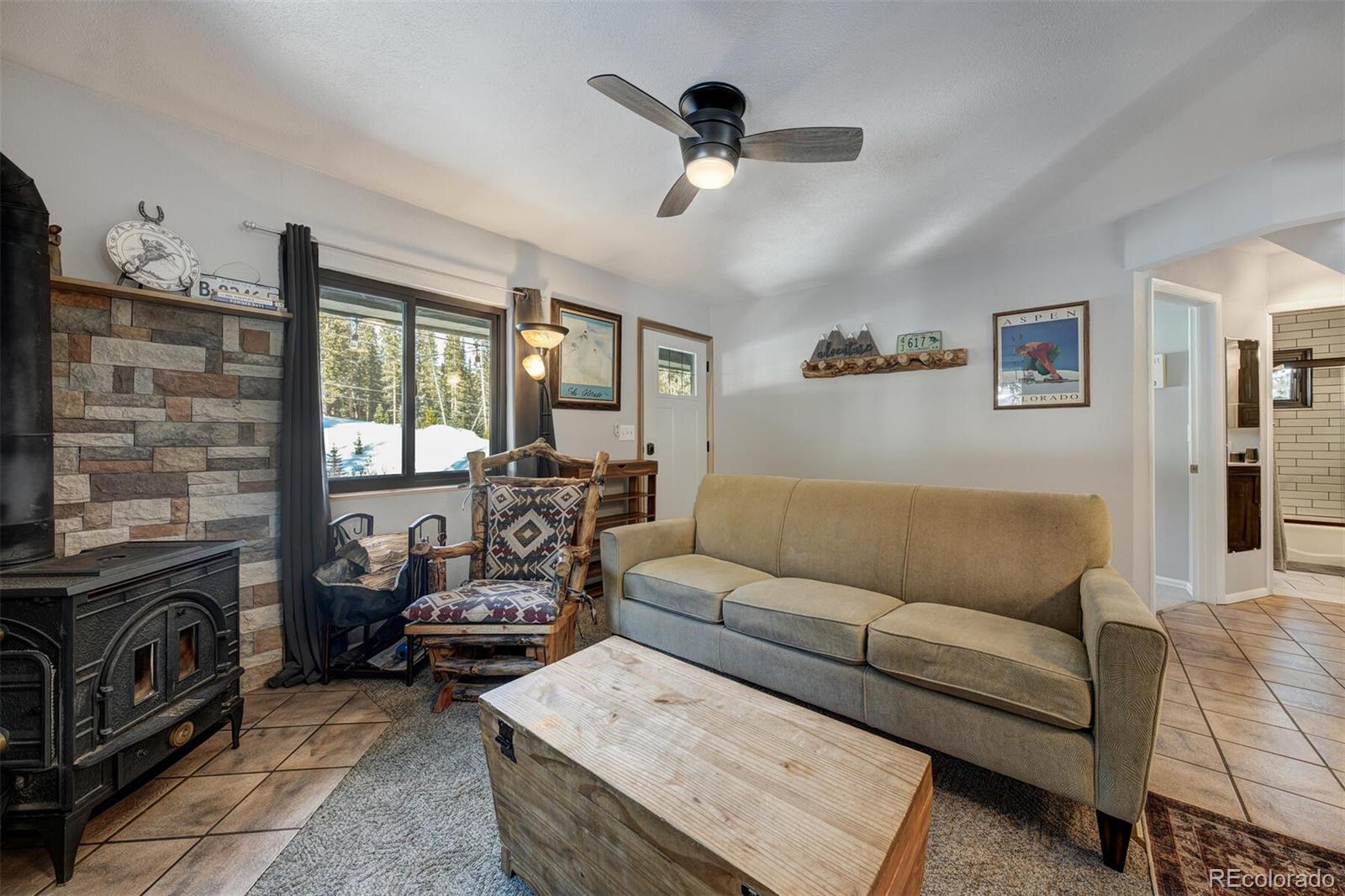 MLS Image #12 for 324  county road 672 ,breckenridge, Colorado