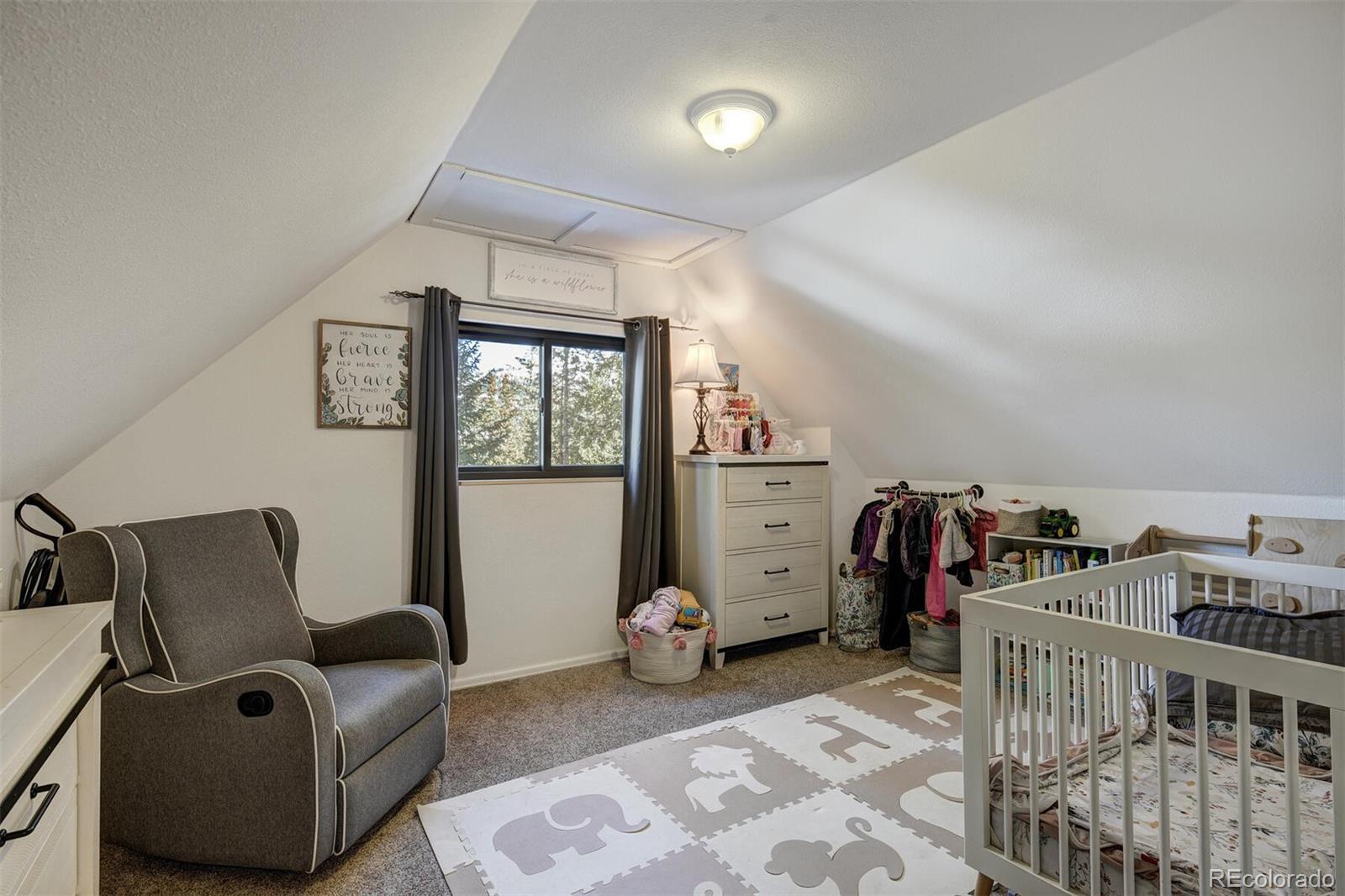 MLS Image #16 for 324  county road 672 ,breckenridge, Colorado