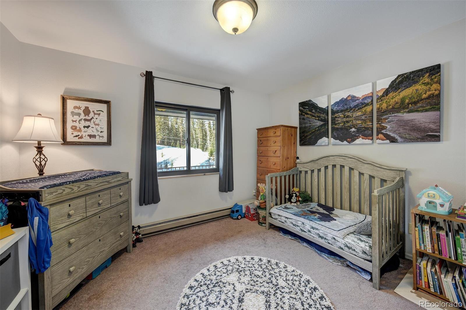 MLS Image #18 for 324  county road 672 ,breckenridge, Colorado