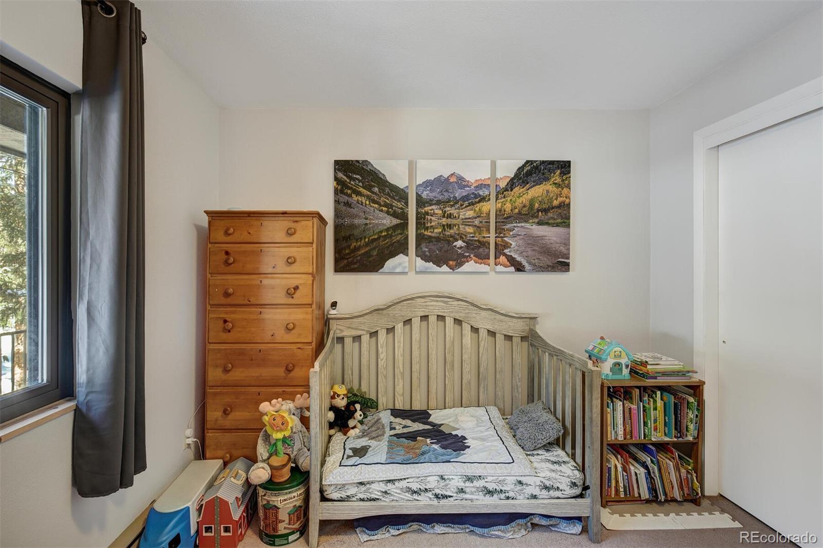 MLS Image #19 for 324  county road 672 ,breckenridge, Colorado