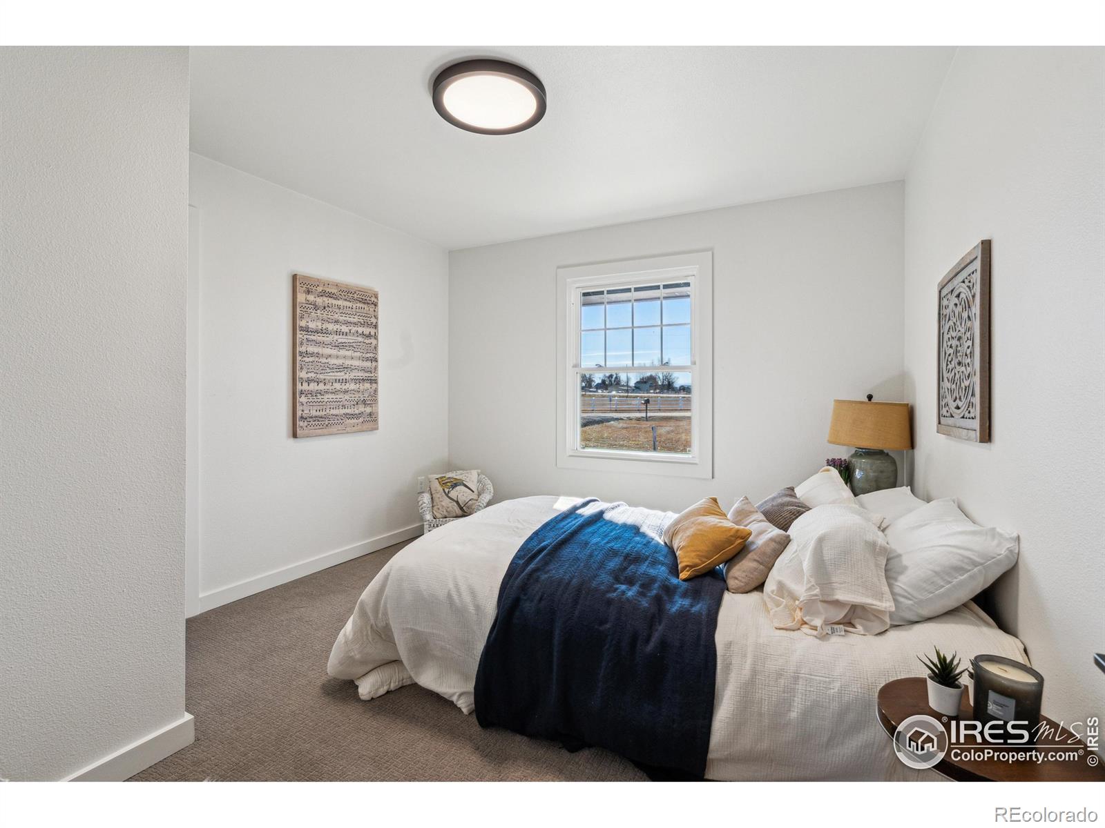 MLS Image #18 for 3901  fox drive,loveland, Colorado