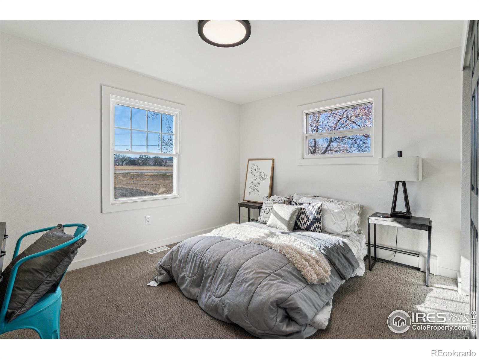 MLS Image #25 for 3901  fox drive,loveland, Colorado