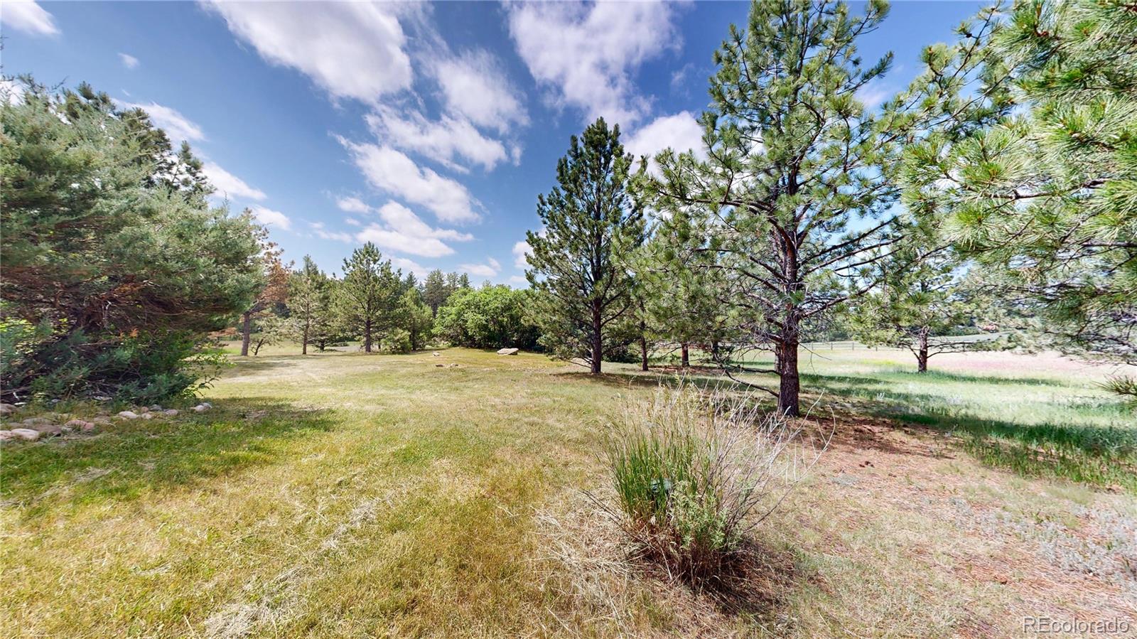 MLS Image #41 for 7641  kelty trail,franktown, Colorado