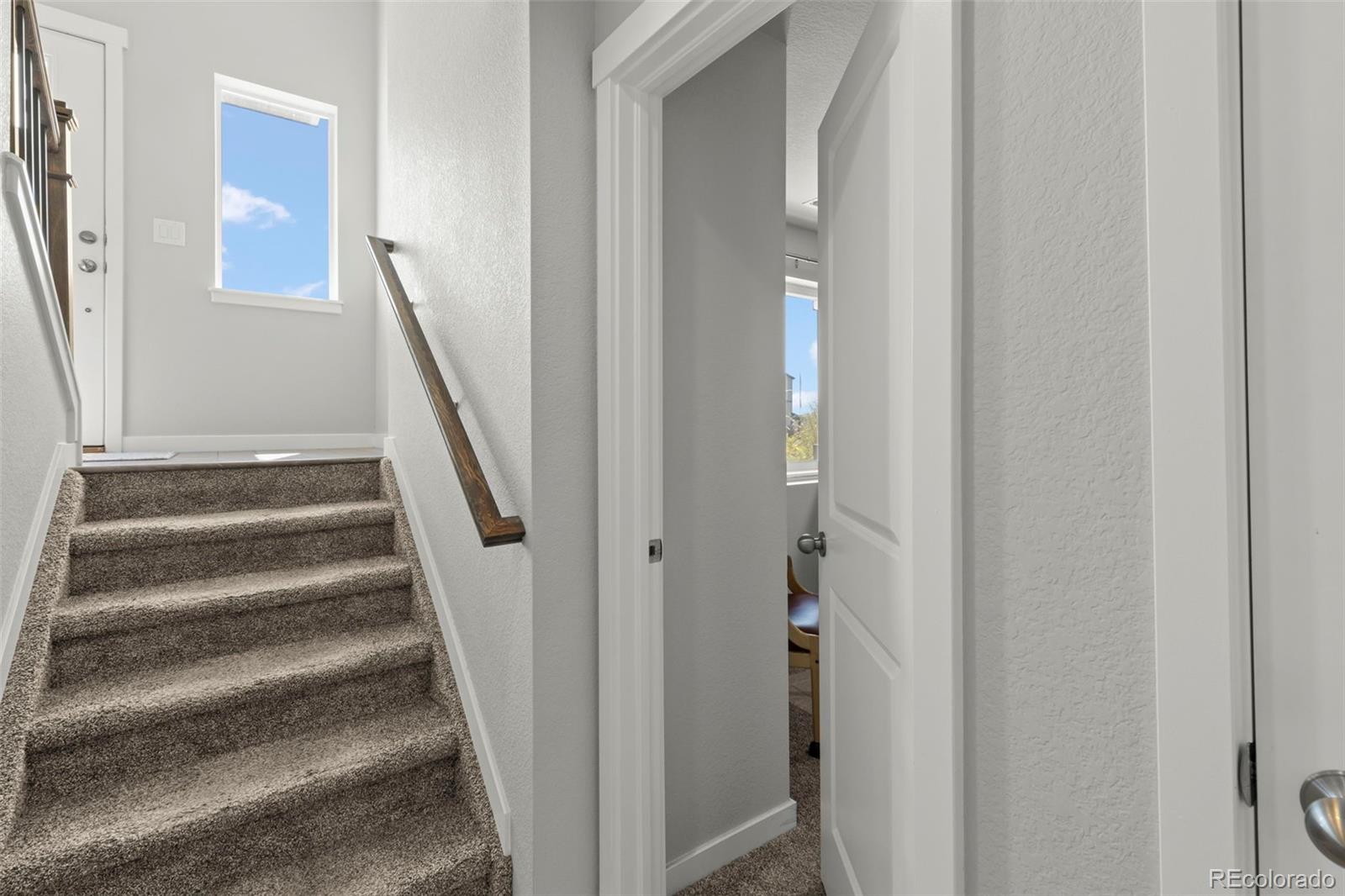 MLS Image #27 for 2481  horsemanship court,colorado springs, Colorado