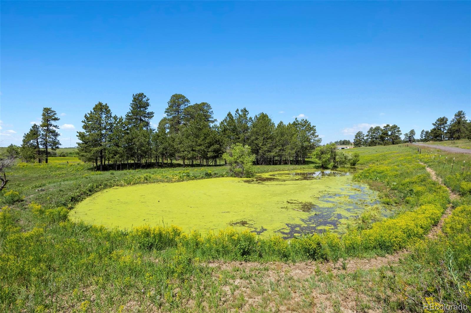 MLS Image #10 for 2470  driftwood ,elizabeth, Colorado