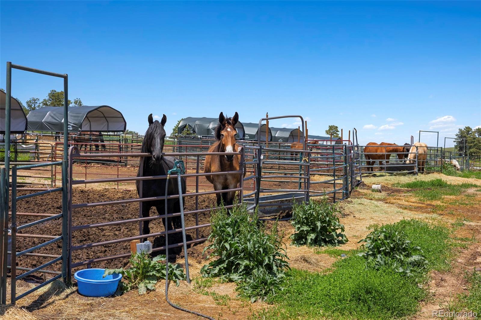 MLS Image #15 for 2470  driftwood ,elizabeth, Colorado