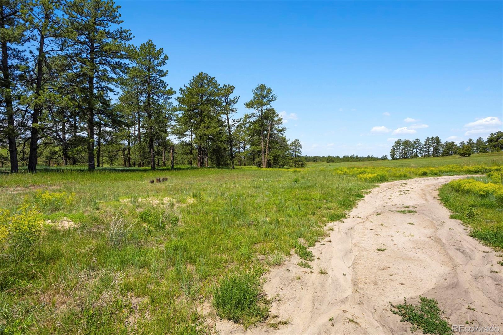 MLS Image #19 for 2470  driftwood ,elizabeth, Colorado