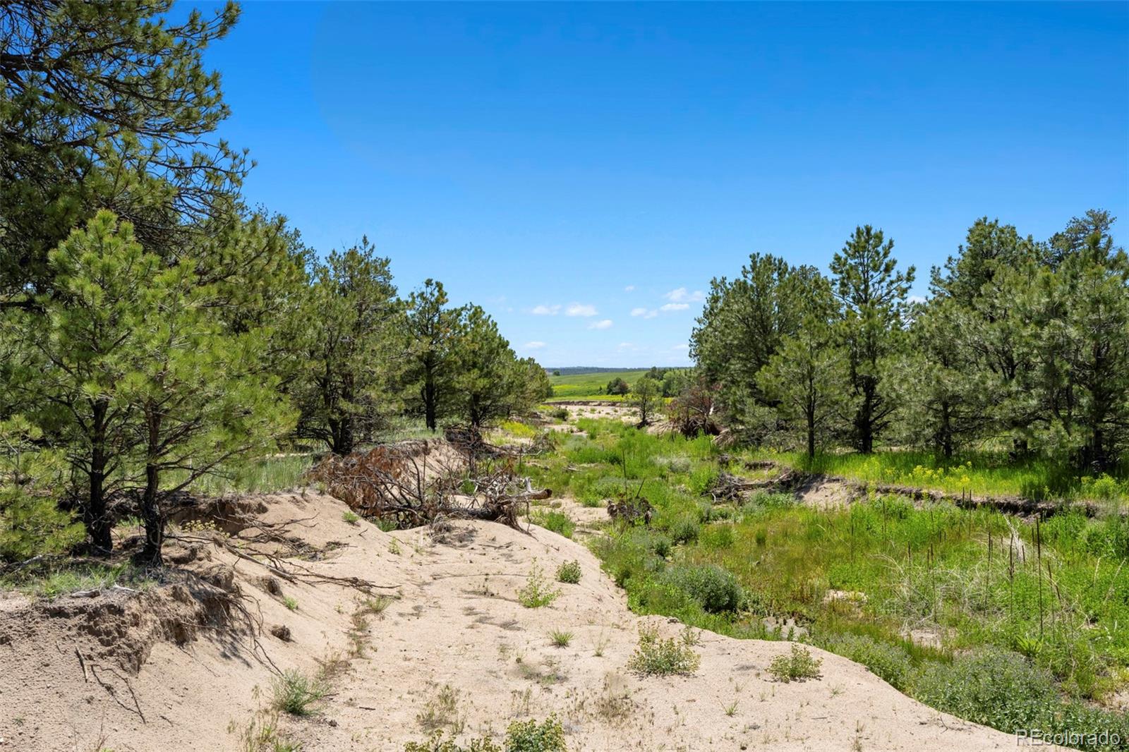 MLS Image #20 for 2470  driftwood ,elizabeth, Colorado