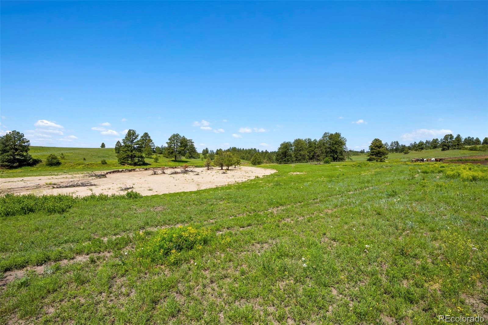 MLS Image #21 for 2470  driftwood ,elizabeth, Colorado