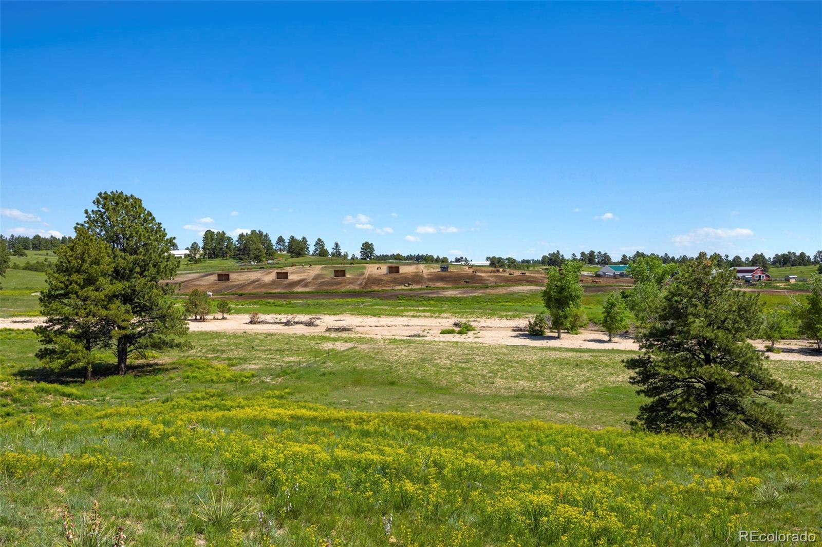 MLS Image #22 for 2470  driftwood ,elizabeth, Colorado