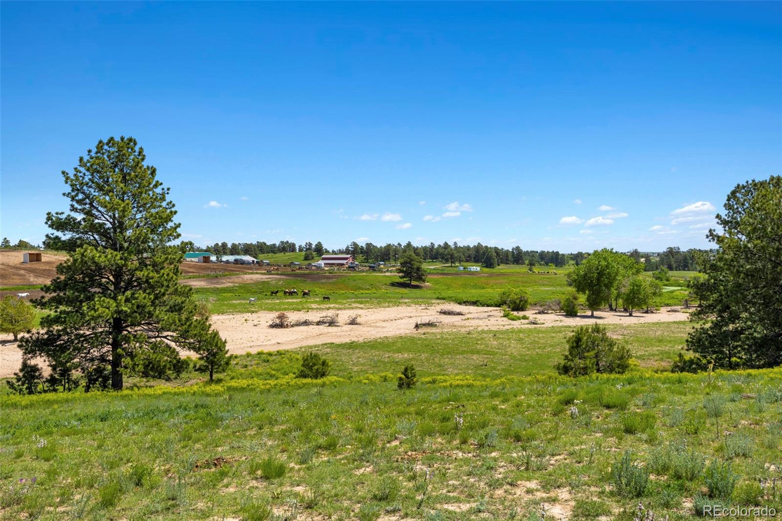 MLS Image #25 for 2470  driftwood ,elizabeth, Colorado