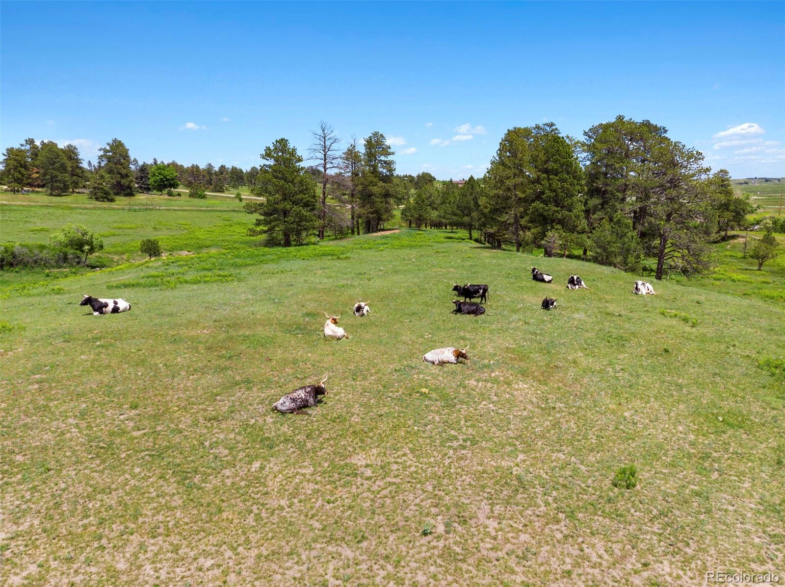MLS Image #29 for 2470  driftwood ,elizabeth, Colorado