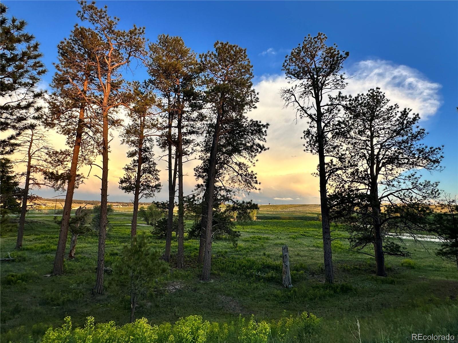 MLS Image #30 for 2470  driftwood ,elizabeth, Colorado