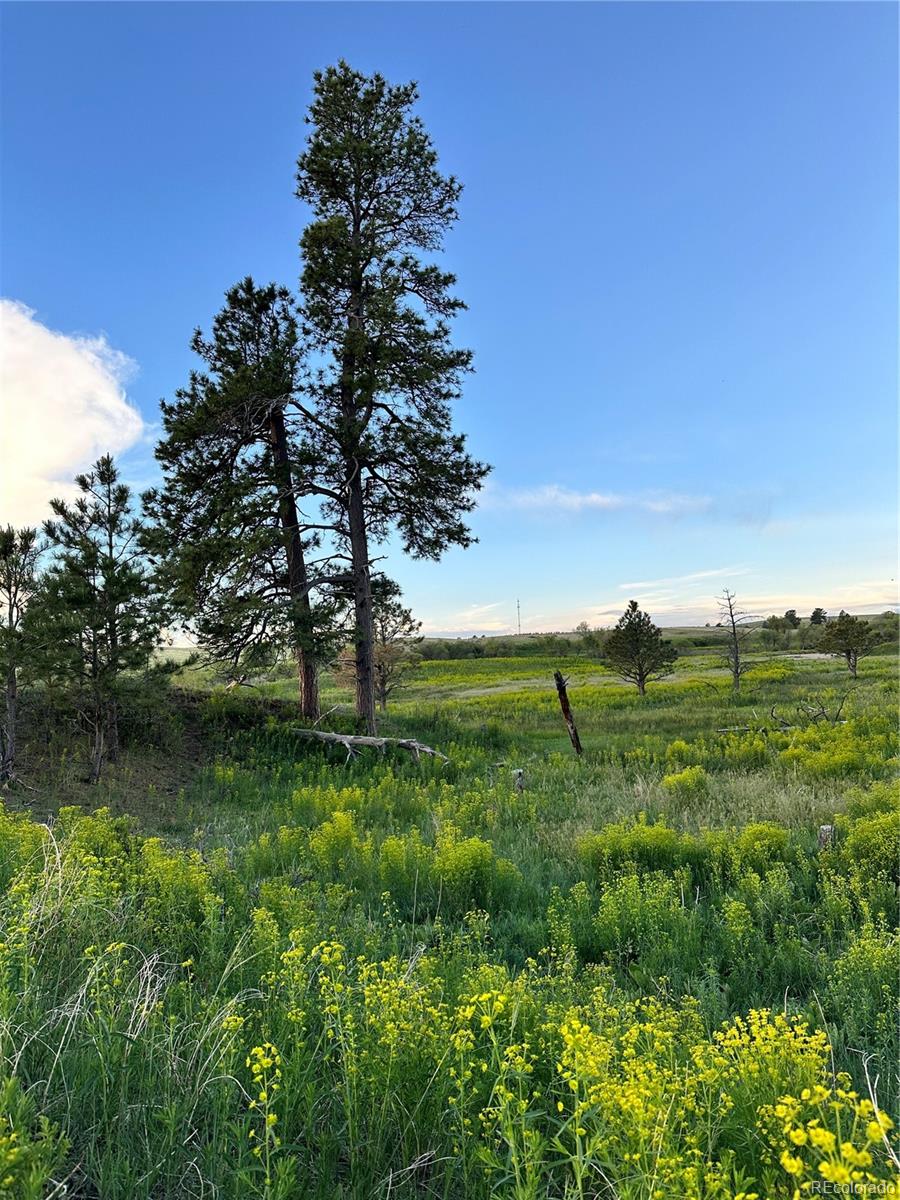 MLS Image #31 for 2470  driftwood ,elizabeth, Colorado