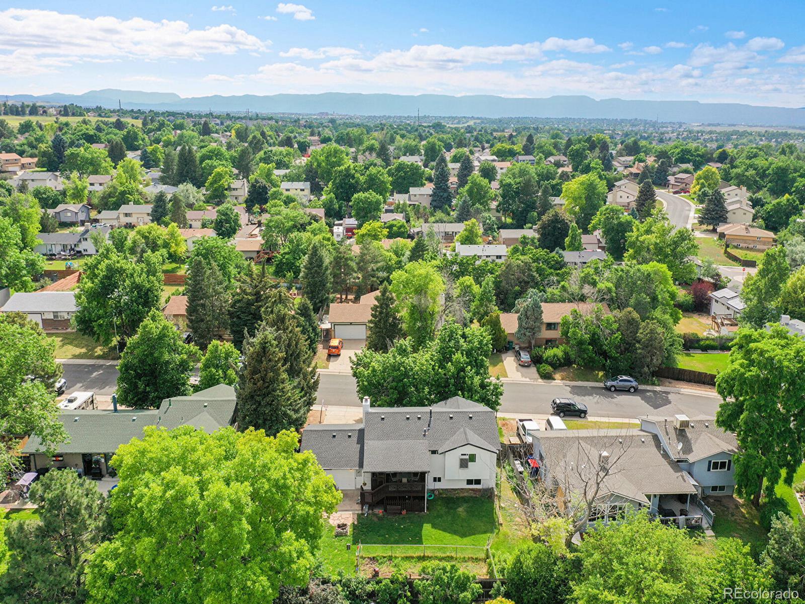 MLS Image #3 for 13246  deneb drive,lone tree, Colorado