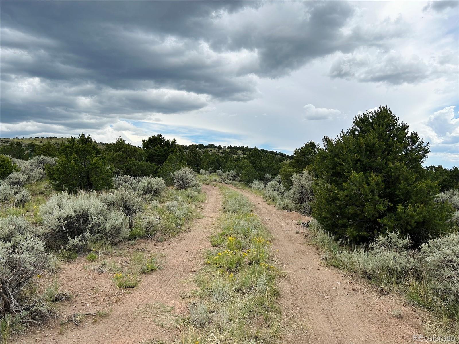 MLS Image #26 for 4535  sarnoff road,fort garland, Colorado