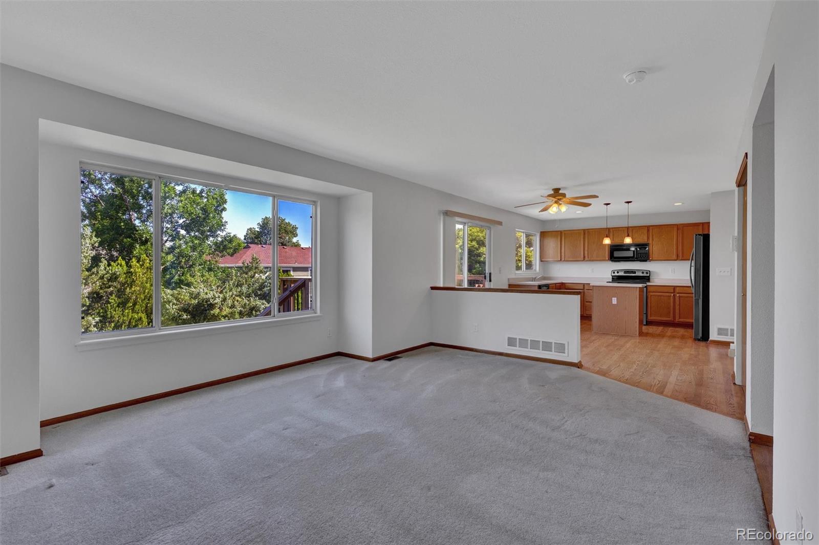 MLS Image #13 for 15941  bluebonnet drive,parker, Colorado