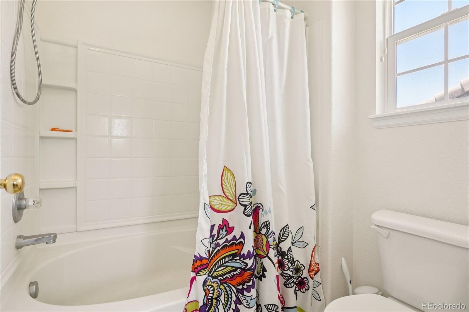 MLS Image #11 for 7371 s mobile street,aurora, Colorado