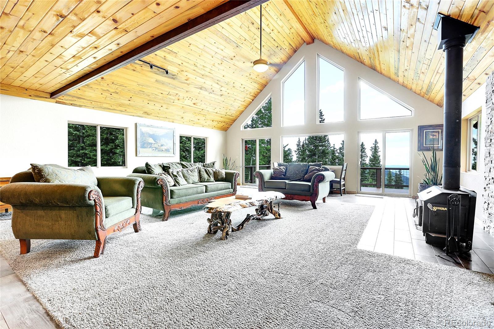 MLS Image #10 for 1176  raven ridge road,idaho springs, Colorado