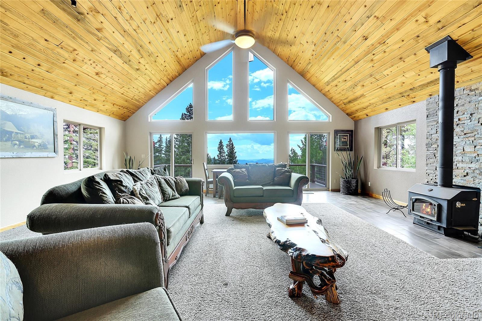 MLS Image #11 for 1176  raven ridge road,idaho springs, Colorado