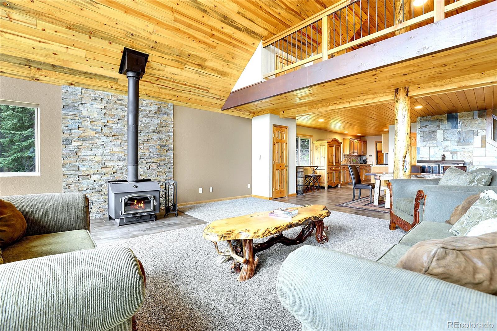 MLS Image #13 for 1176  raven ridge road,idaho springs, Colorado
