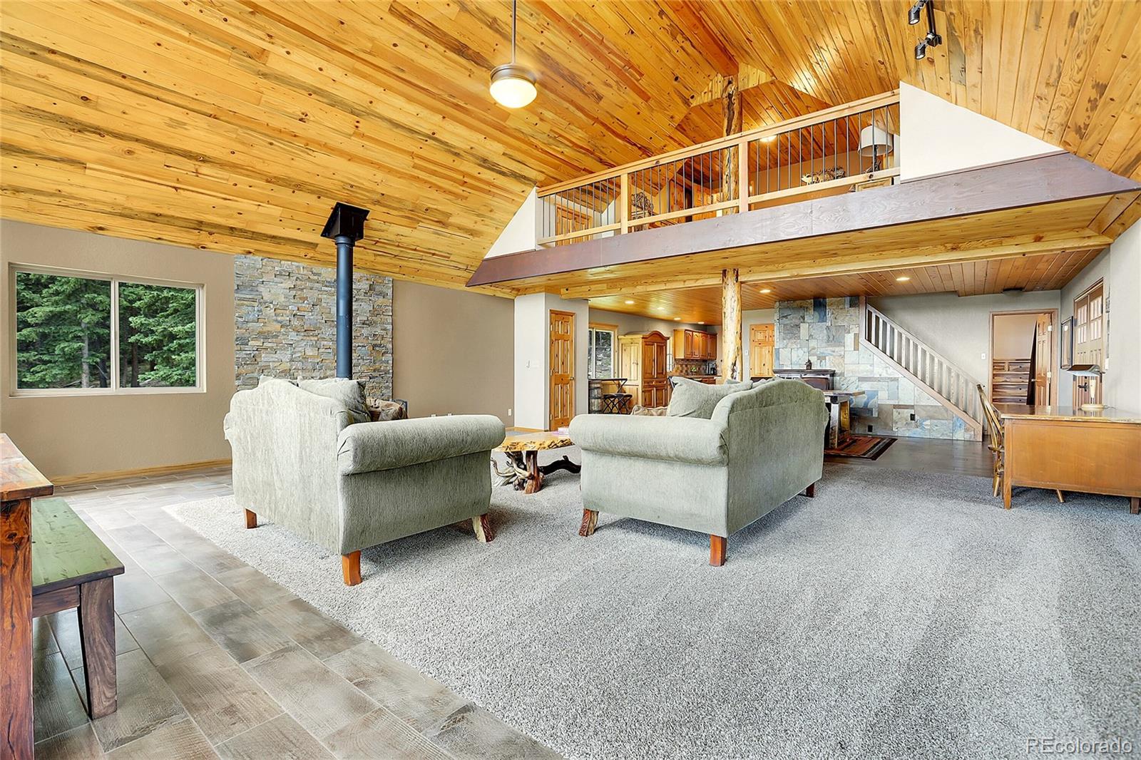 MLS Image #14 for 1176  raven ridge road,idaho springs, Colorado